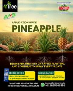 Application Guide - Pinnapple